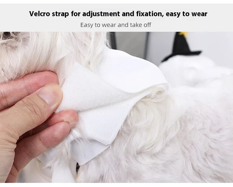 White viscose fibre dog clothes suit with pumpkin ghost design for Halloween, available in sizes S M L