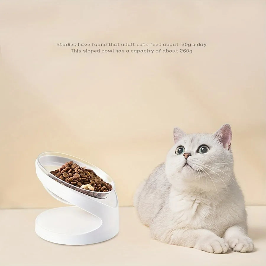 White clear plastic tilted cat food bowl for ergonomic feeding