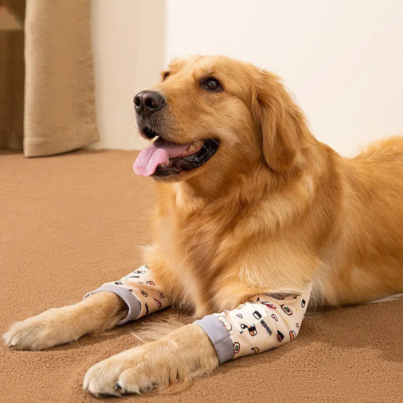Blue dog knee protector with matching scarf showing adjustable straps and elbow padding