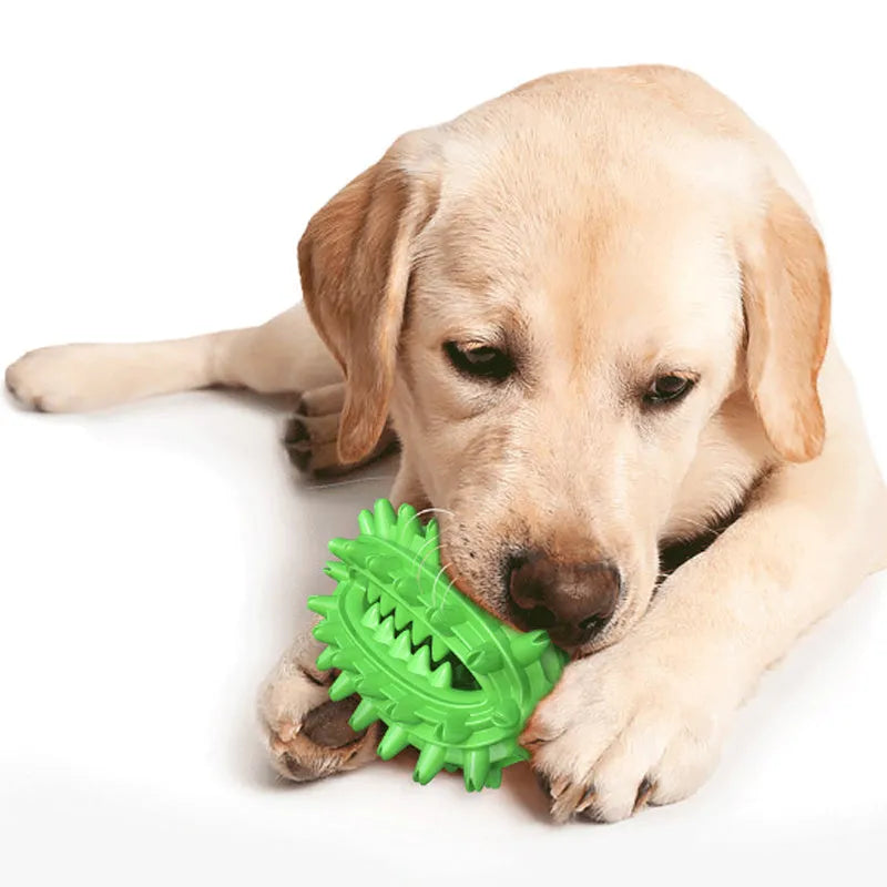 Green cactus-shaped dog chew toy with textured bumps for dental care on a white background