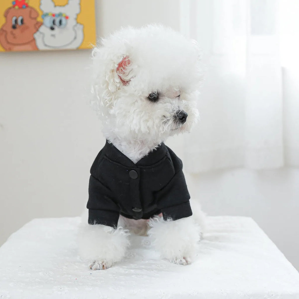 Casual polyester pet sweater in Kiss Sweater colour for dogs and cats, sizes XS to XL