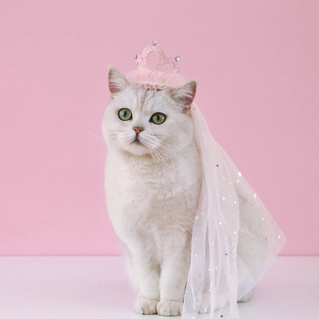 Pet cat wearing a princess crown headdress with a choice of beige or pink crown veil