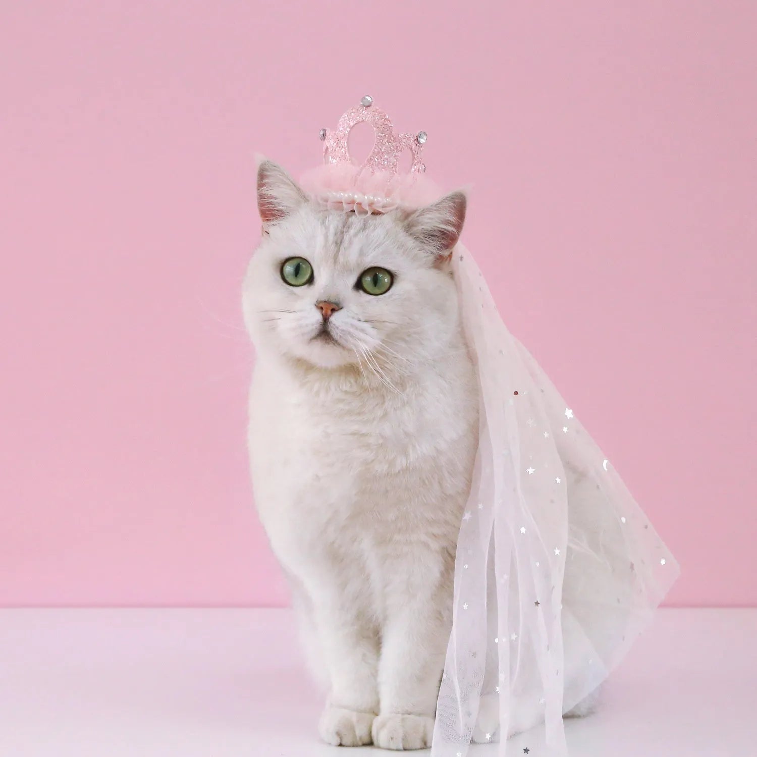 Pet cat wearing a princess crown headdress with a choice of beige or pink crown veil
