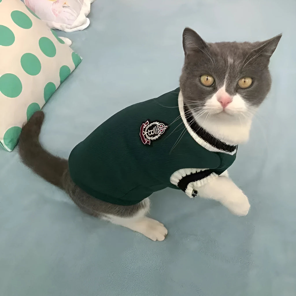 Pet cat winter coat with college-style layer, size M, khaki colour, for British Shorthair breed