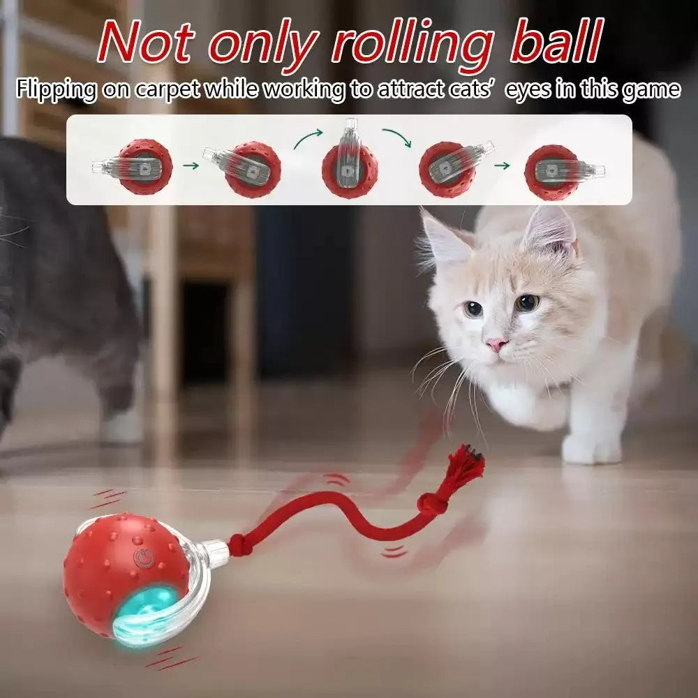 Interactive Super Drive cat rolling ball in blue and red colour options on a light floor