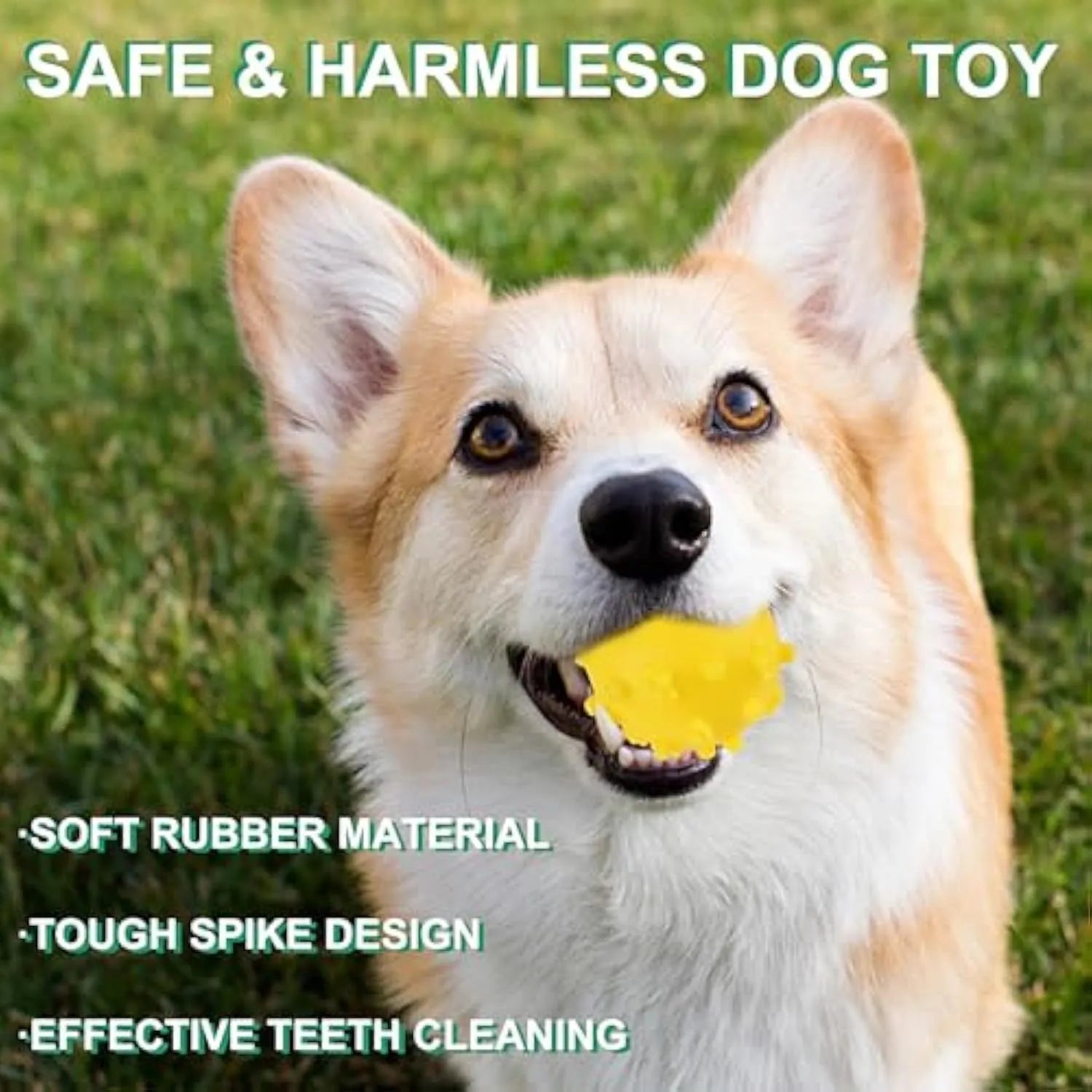 Bright colour spiked dog toy balls with paw print dimples for small breed chewing and fetch games