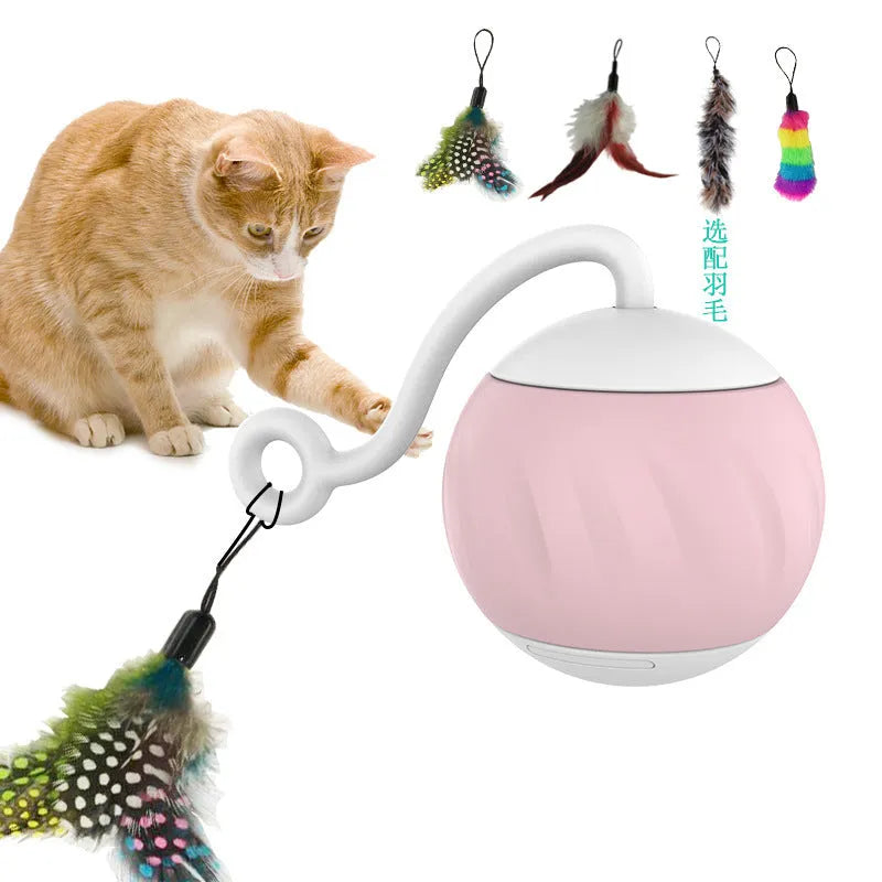 Electric cat toy luminous ball in plastic, available in watermelon and pumpkin colour options for interactive feline play