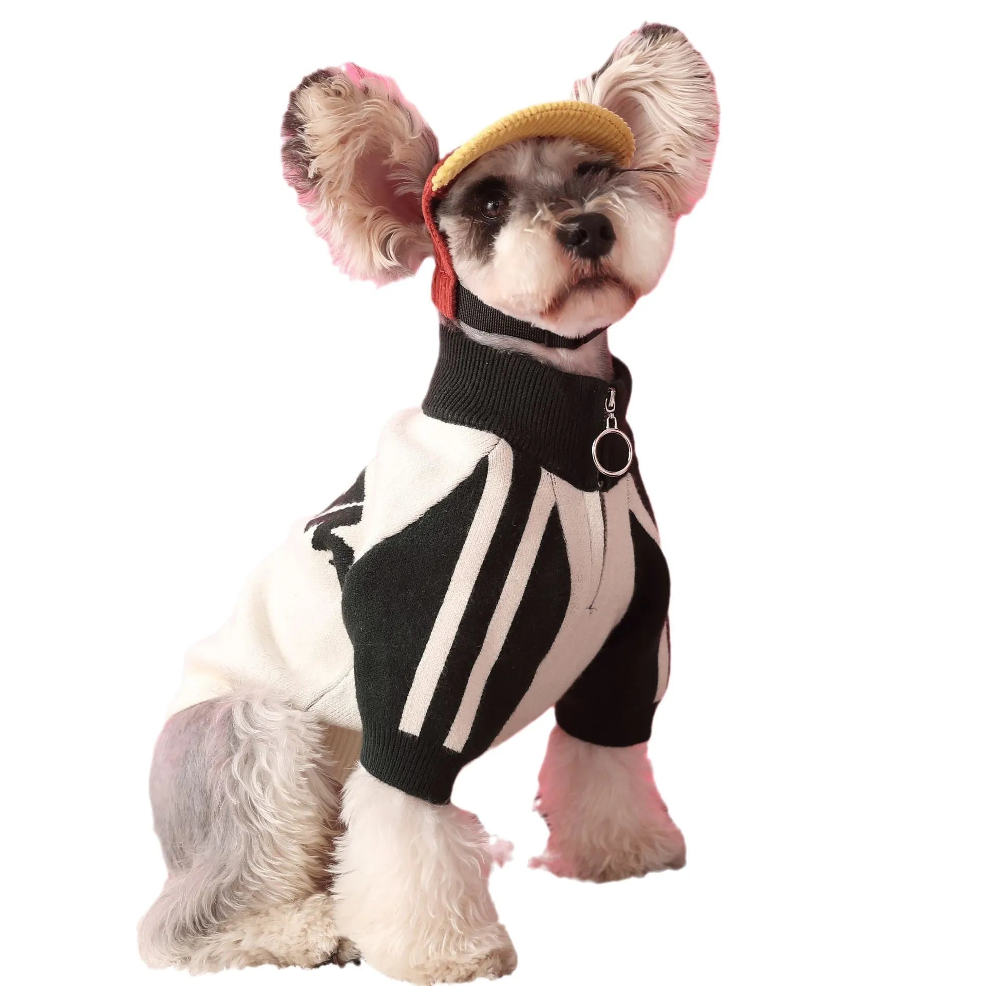 Red wool pet dog sweater cardigan in casual style for men's pet clothing