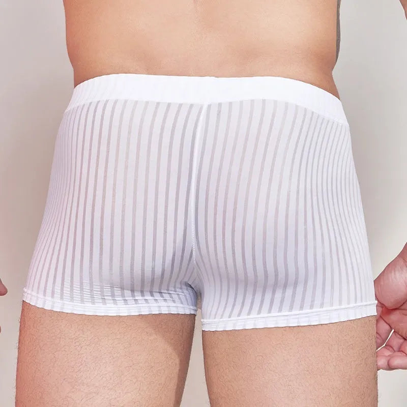 Men's striped underwear briefs in thin transparent nylon fabric showing black white dark grey colour options