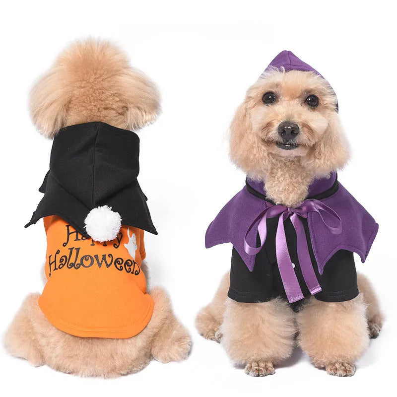Halloween pumpkin print dog sweater and shawl costume in black or orange colours