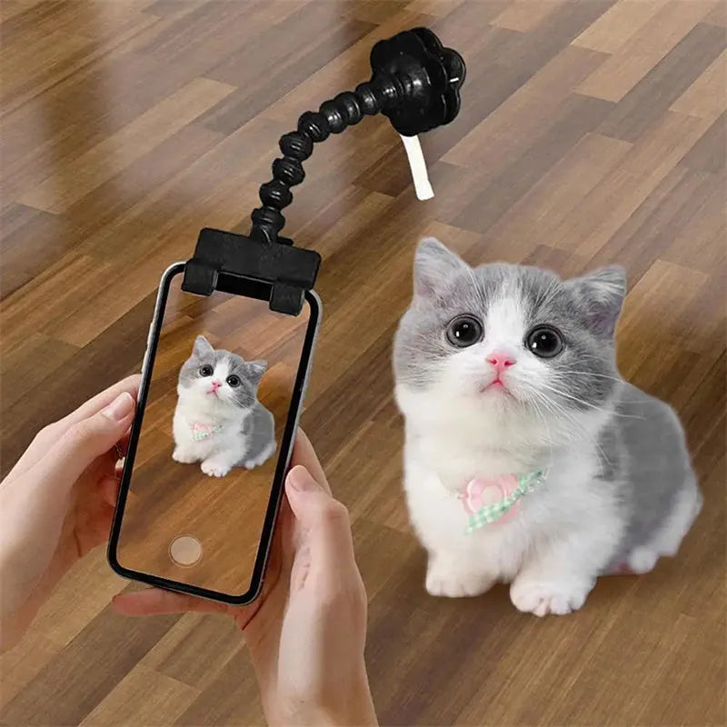 Black pet photography clip with treat holder and phone mount on white background