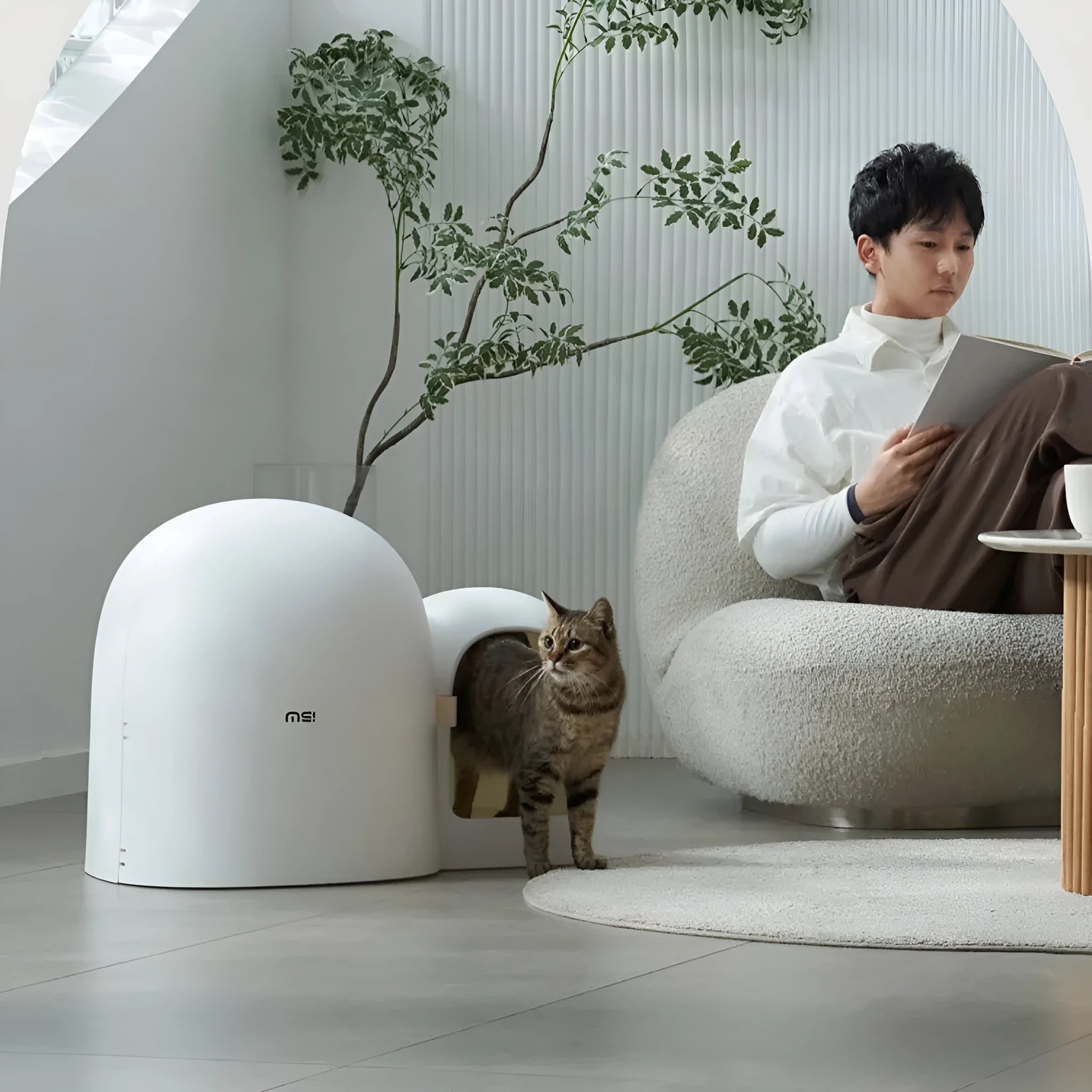 Fully enclosed oversized cat litter box in Aurora White with high sides for litter containment