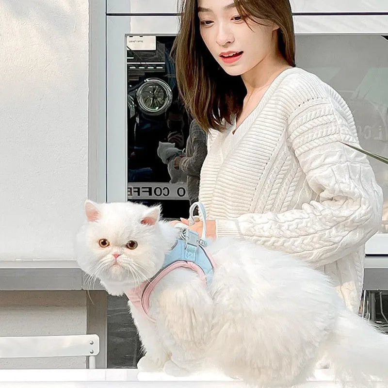 Suede cat pulling rope vest with reflective chest strap and hand rope in blue pink stitching