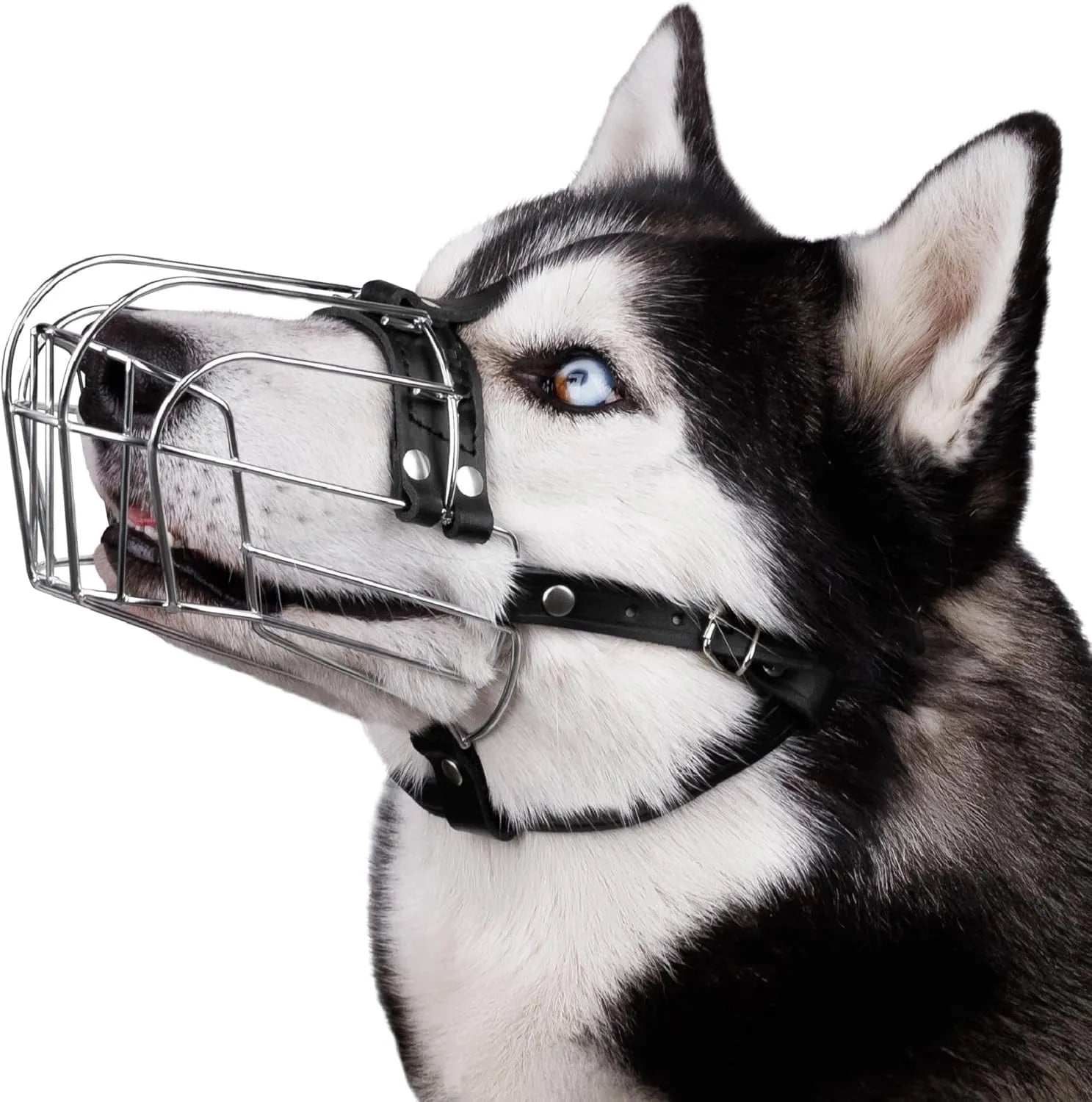 Black metal dog muzzle designed for Golden Retrievers and German Shepherds, showing adjustable nose piece.