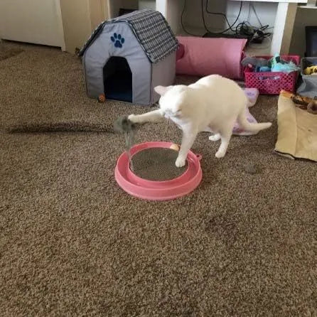 Round blue cat scratcher toy with ball track and replaceable cardboard scratching surface
