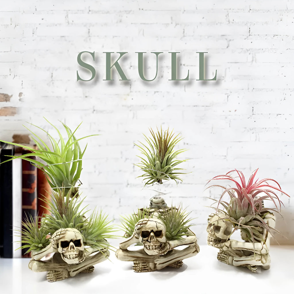 Gothic resin Tillandsia air plant bracket with skull ornament and iron mounting section