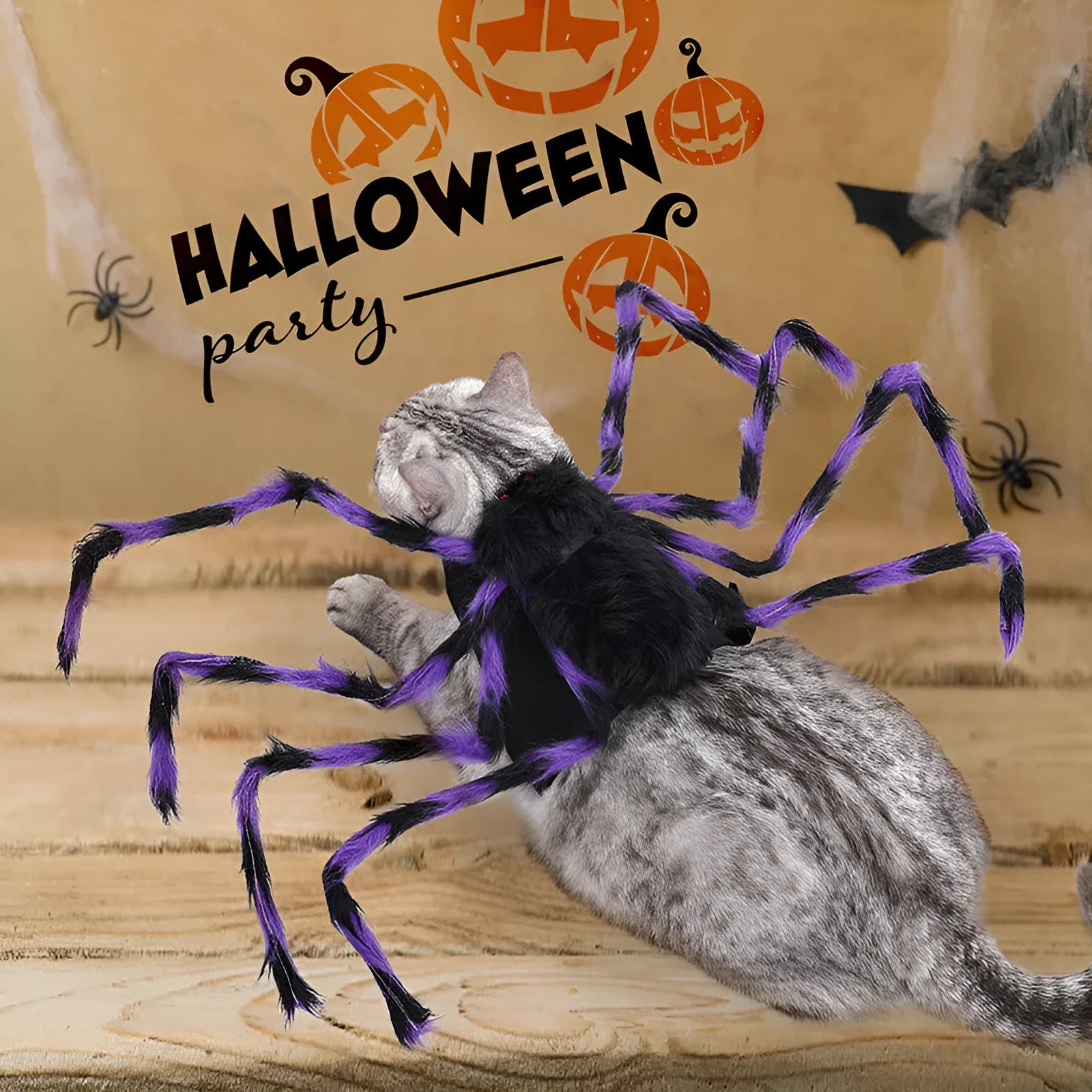Halloween spider costume for pets in polyester with elastic openings