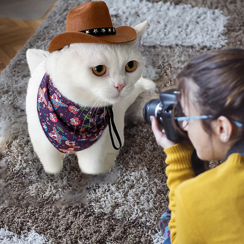 Cat wearing a black cowboy hat with star design, made from soft non-woven fabric, adjustable strap, side view