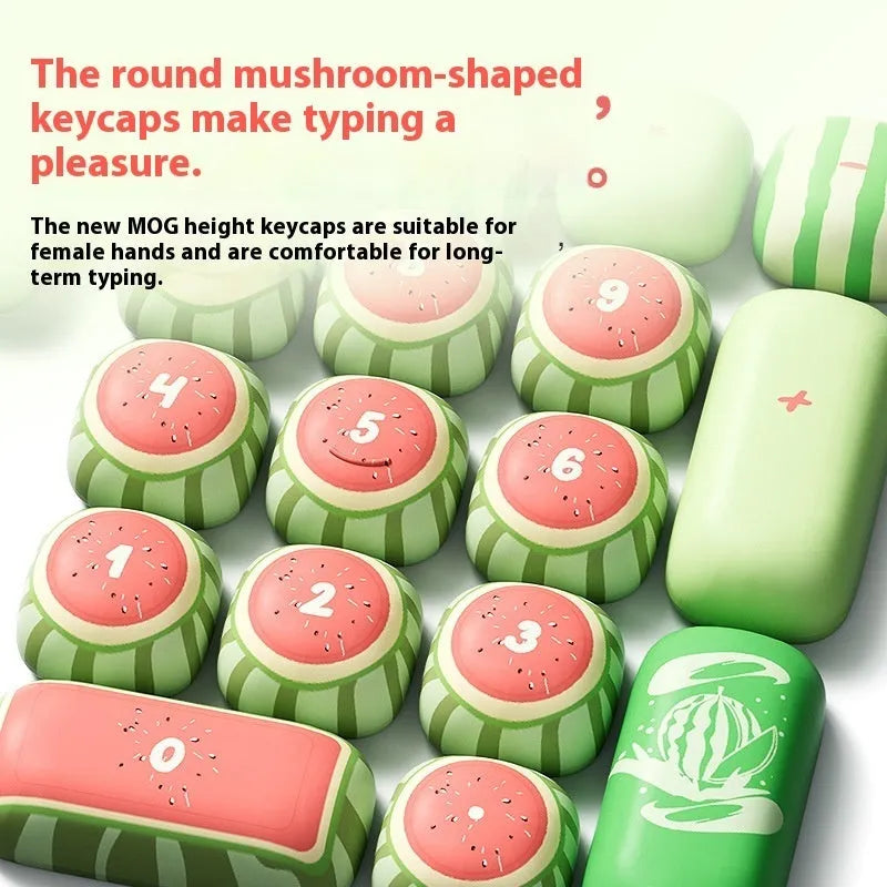 Watermelon theme mechanical keyboard key caps with blue colour and summer design on PBT plastic
