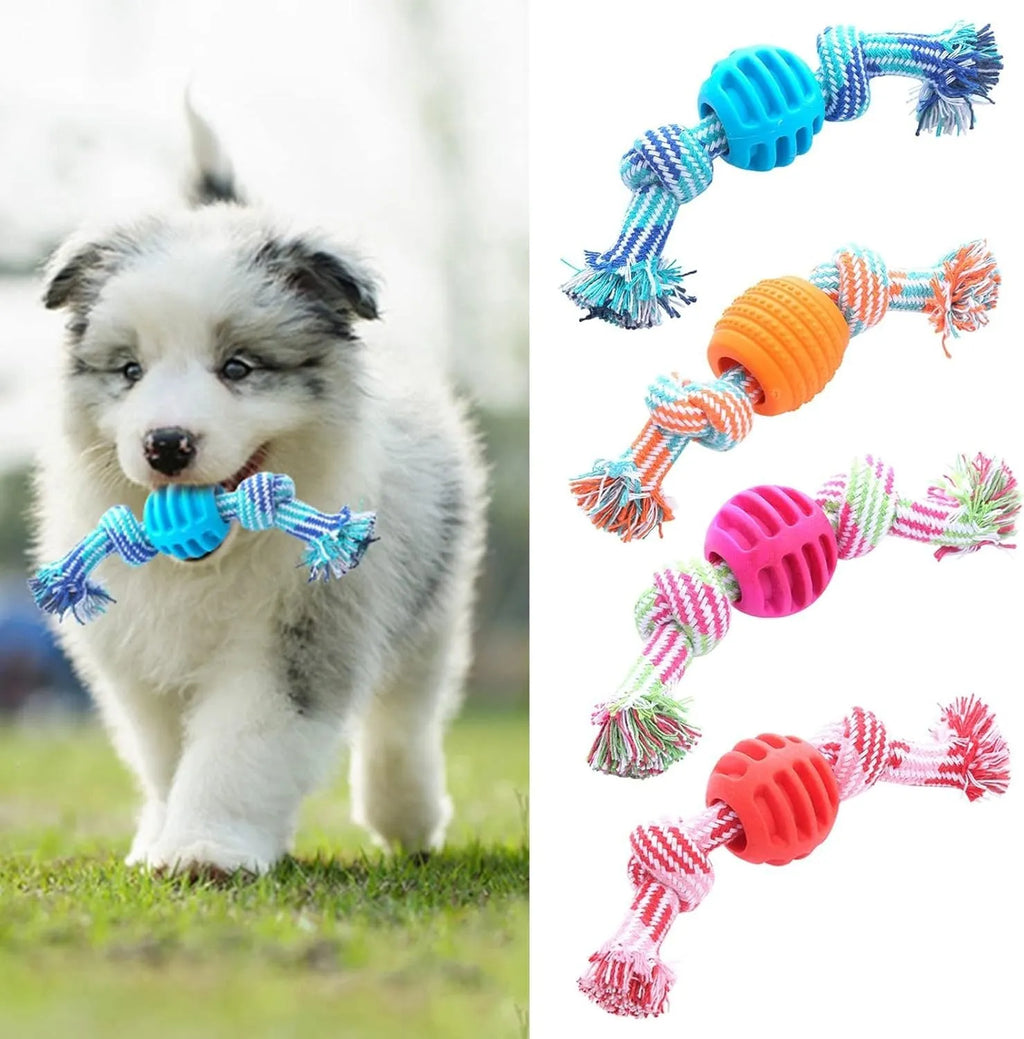Blue molar-shaped dog chew toy with integrated rope elements for dental cleaning