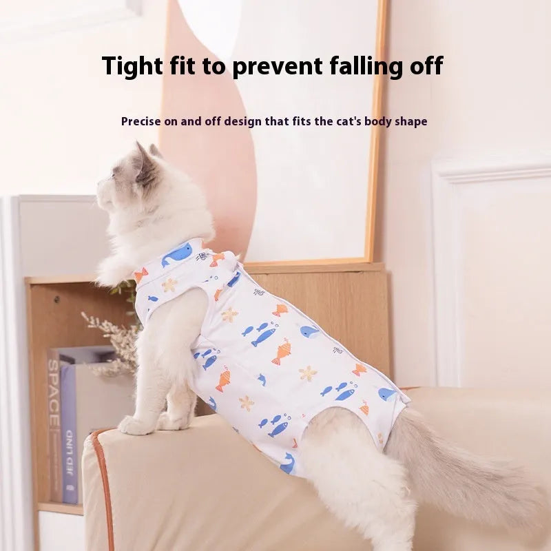 Cat wearing a soft blue post-operative recovery suit with Velcro fastenings on its back.