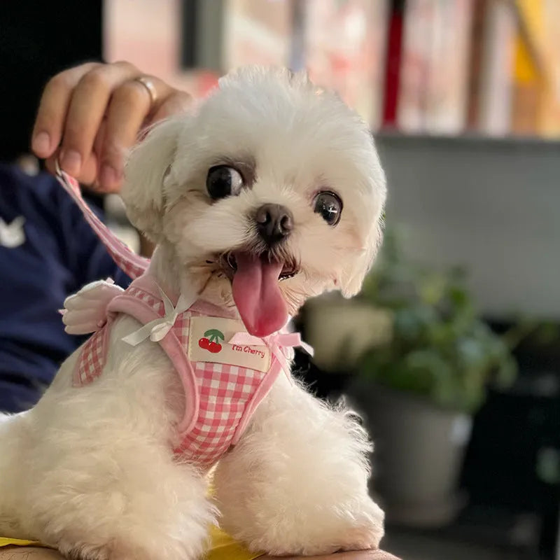 Pink and black cotton harness for small dogs with chest and back support and attached hand-holding rope