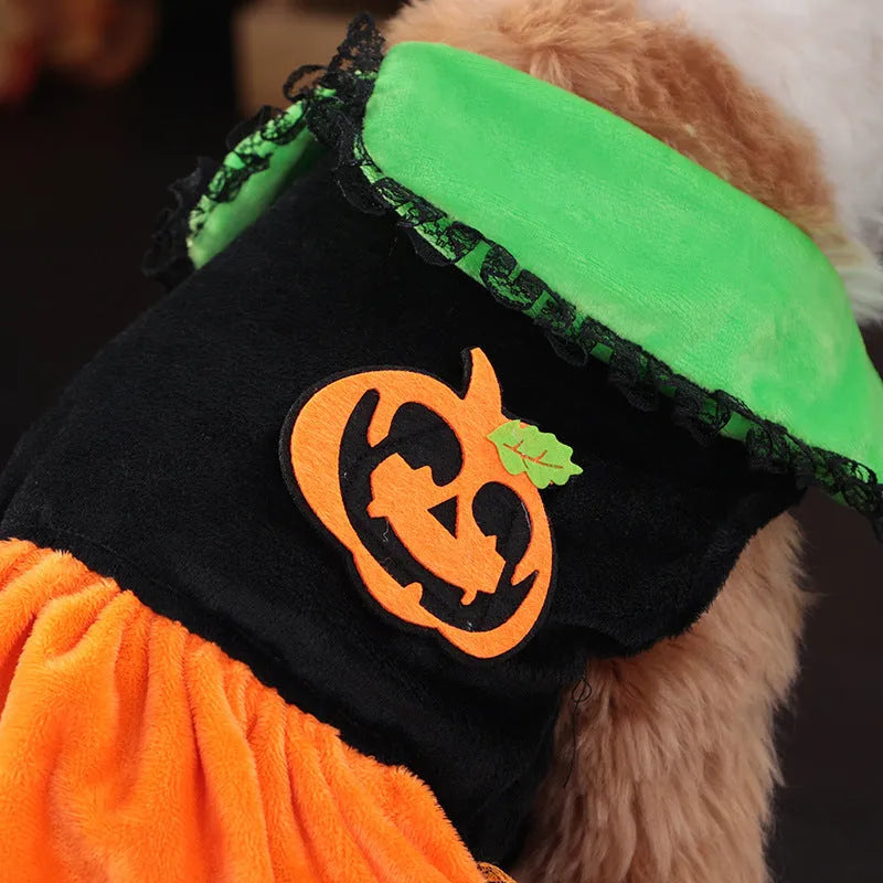 Halloween pumpkin skirt and sweater pet costume for dogs and cats in crystal velvet material