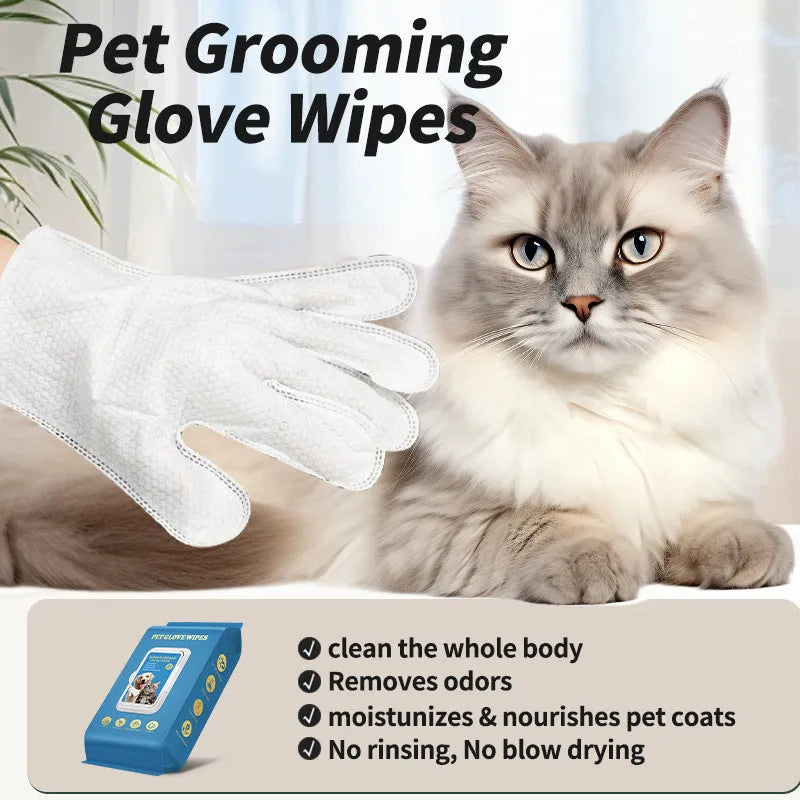 Pack of disposable pet gloves for cat bathing and dog grooming cleaning tasks