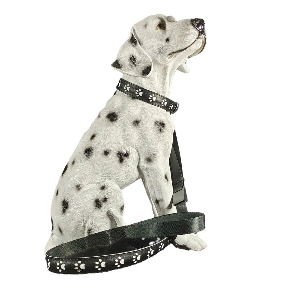 LED luminous cat collar with paw print charm showing 7 colour-changing lights on a grey background.