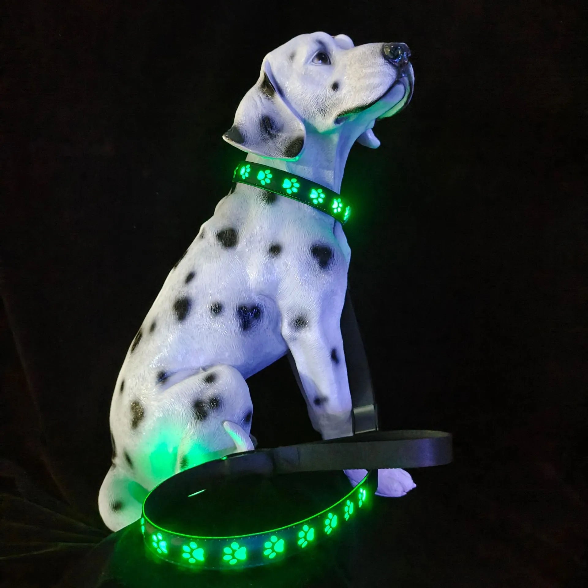 LED luminous cat collar with paw print charm showing 7 colour-changing lights on a grey background.