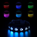 LED luminous cat collar with paw print charm showing 7 colour-changing lights on a grey background.