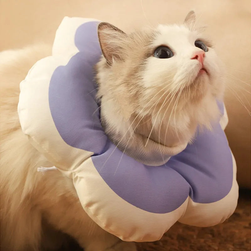 Soft cotton cat flower collar in blue with adjustable strap for post-surgery recovery