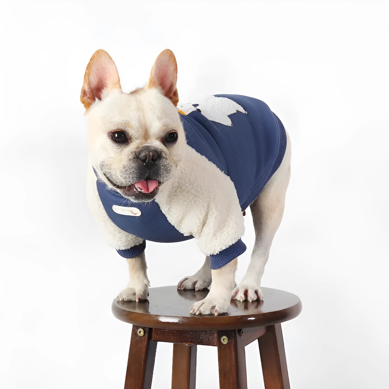 Dark blue fleece-lined thick winter pet coat for dogs, sizes L to 4XL