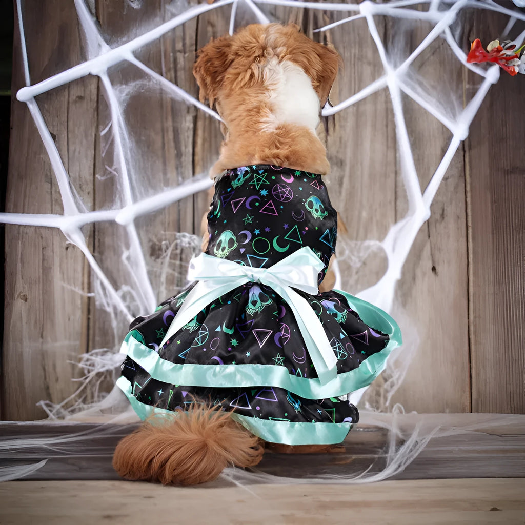 Halloween dog skirt with double-layer construction in colourful pumpkin pattern