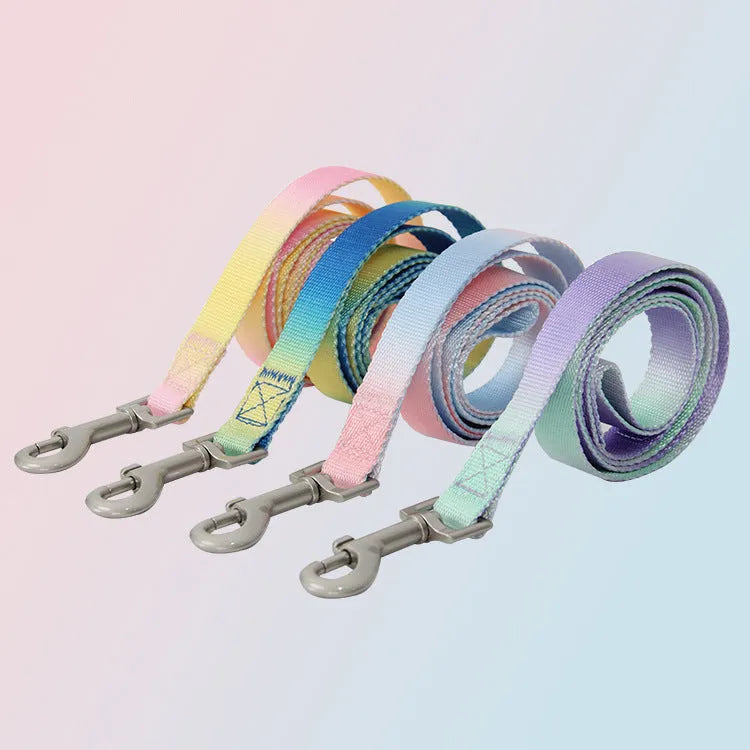 Nylon dog leash and collar set showing gradient colour pattern from pink to blue