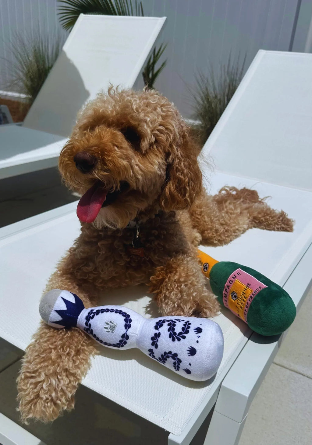 Funny plush dog toy shaped like a tequila bottle with squeaker, 26x9x9 cm, for all dog sizes