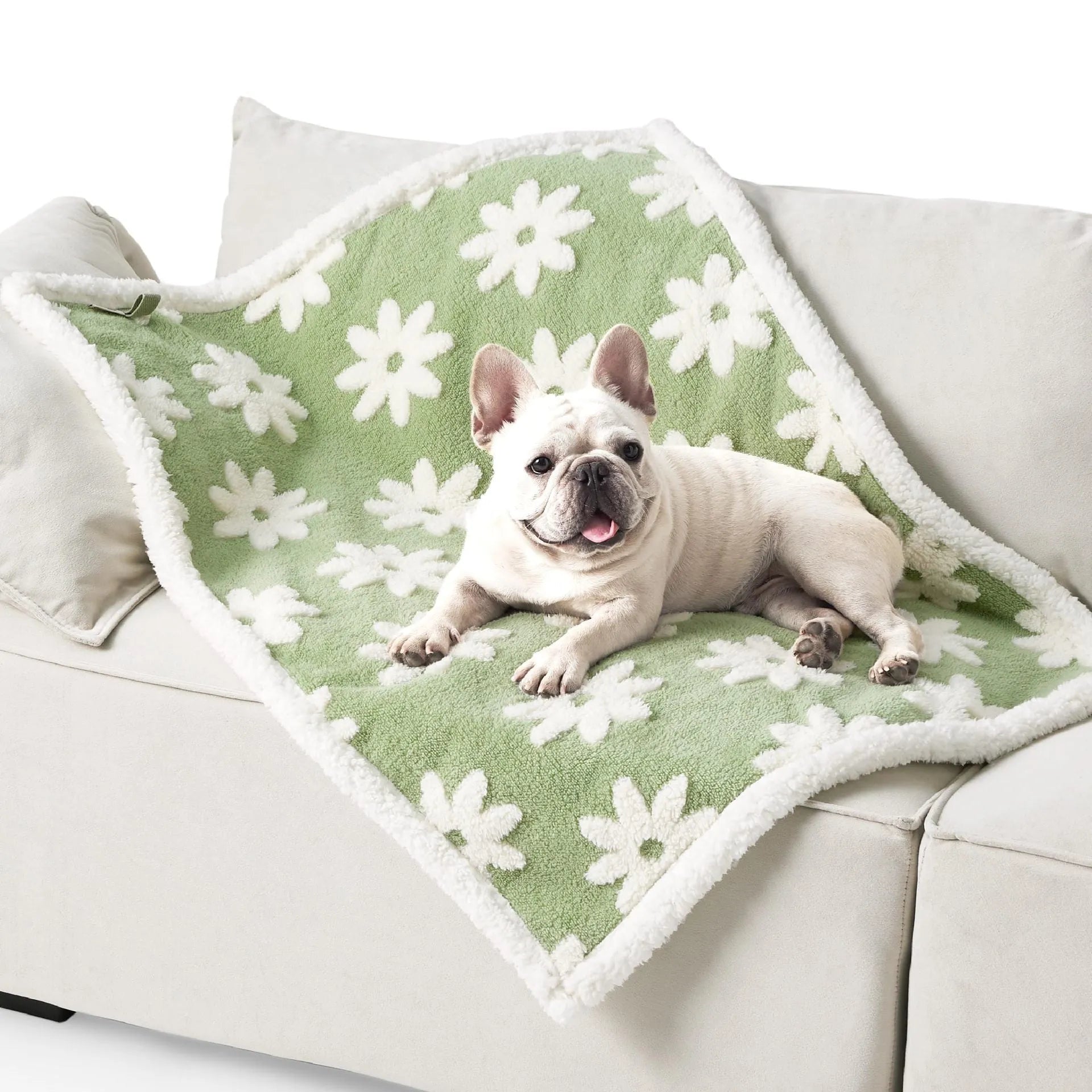 Thickened Shu cotton pet waterproof blanket with blue sky and white clouds pattern for dog couch protection