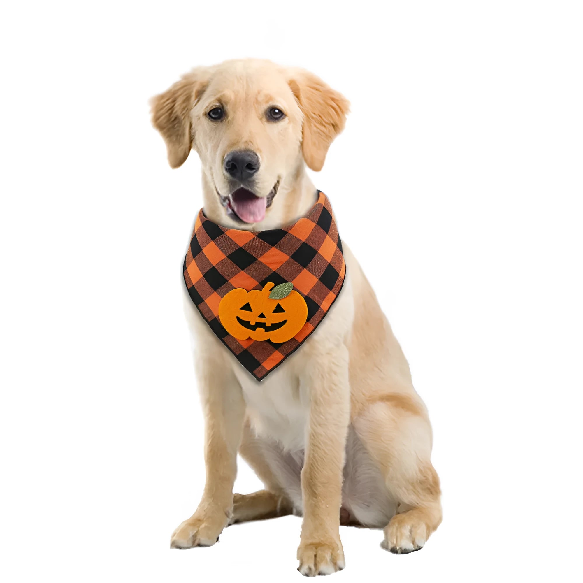 Orange plaid Halloween dog bandana with pumpkin and skeleton felt appliques