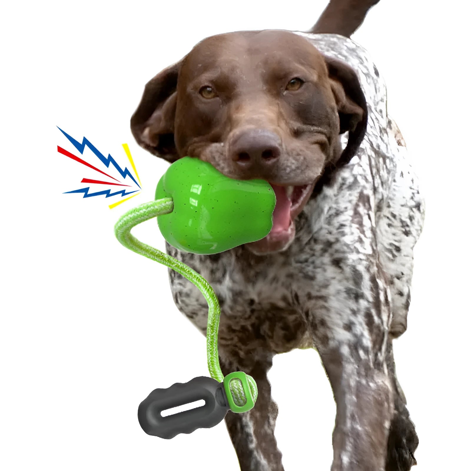 Green and red plastic apple-shaped dog toy with dropping ball for food dispensing