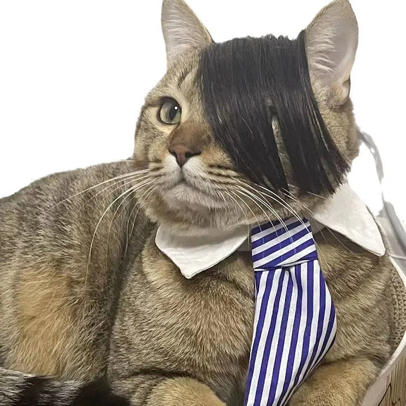 Black cat wig with imitation braid decoration for pet dress-up