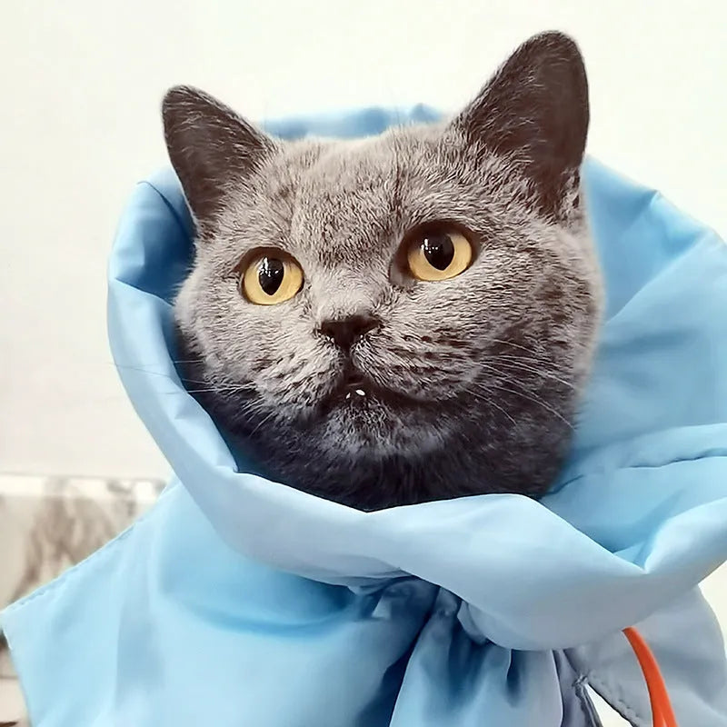 Adjustable soft polyester cat recovery collar in light blue for small to medium cats and dogs
