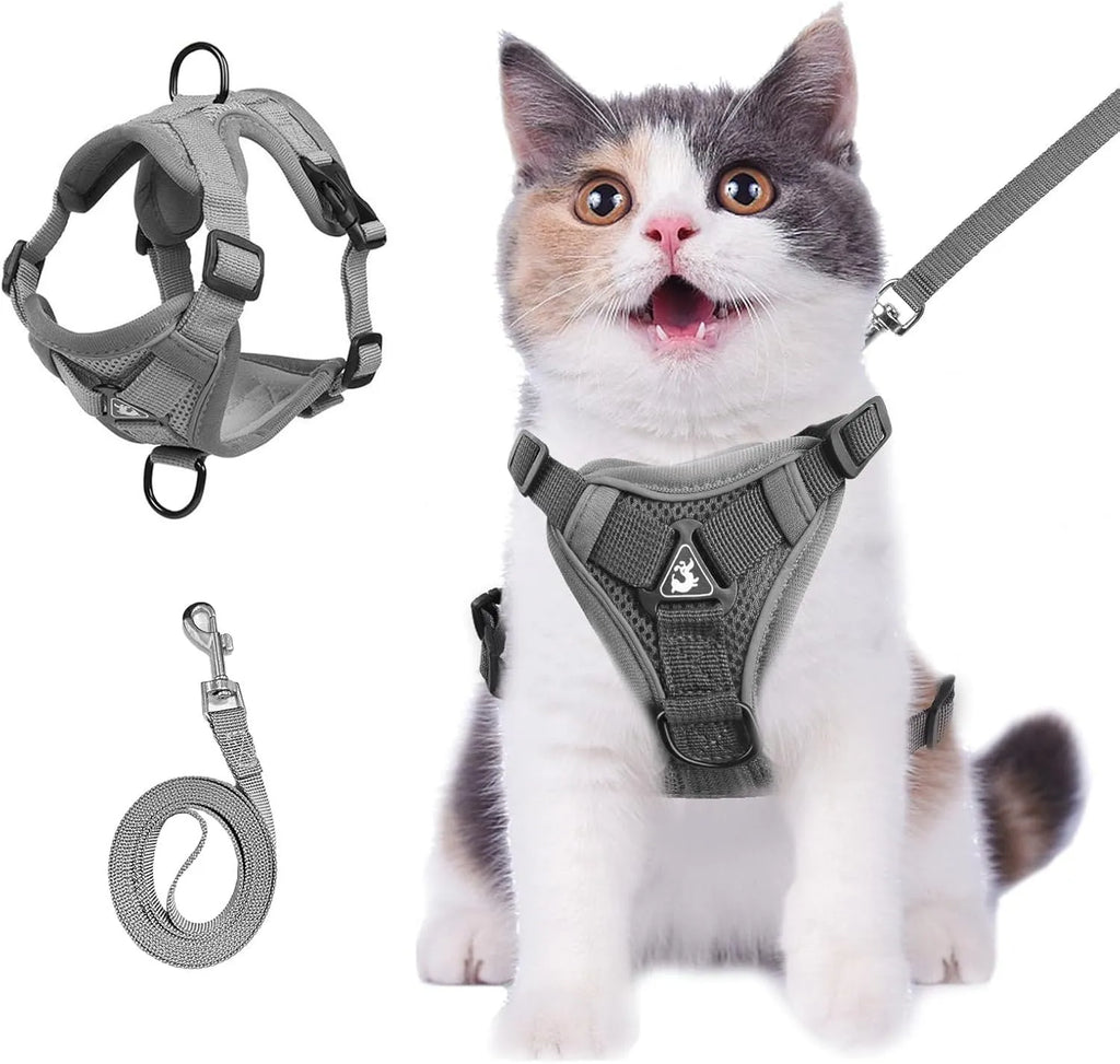 Soft mesh cat harness and leash set in blue with reflective chest patch on a cat outdoors