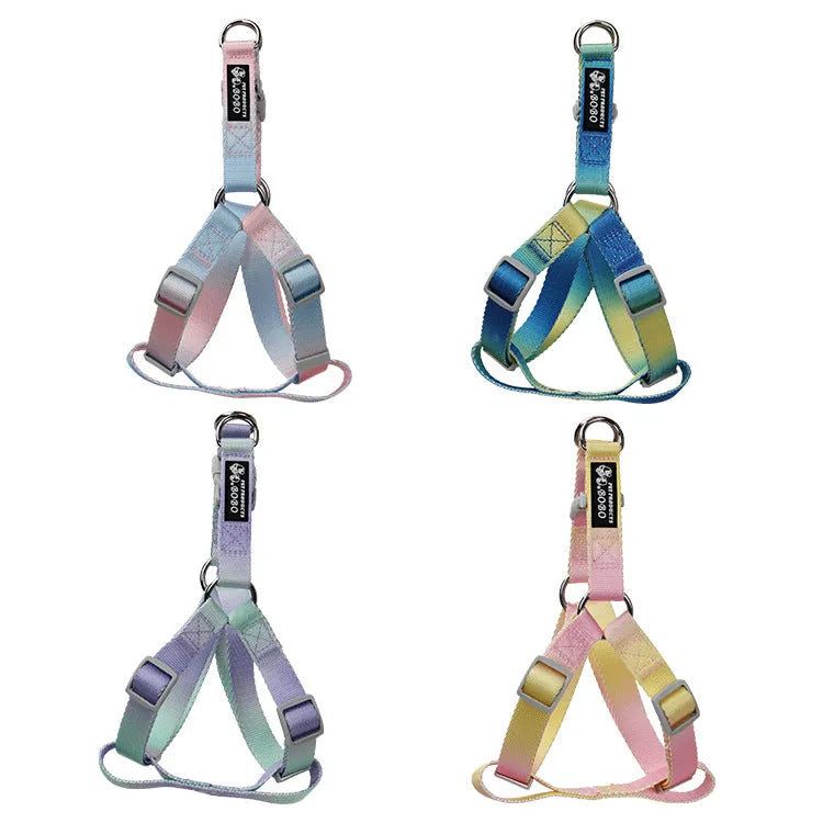 Nylon dog leash and collar set showing gradient colour pattern from pink to blue