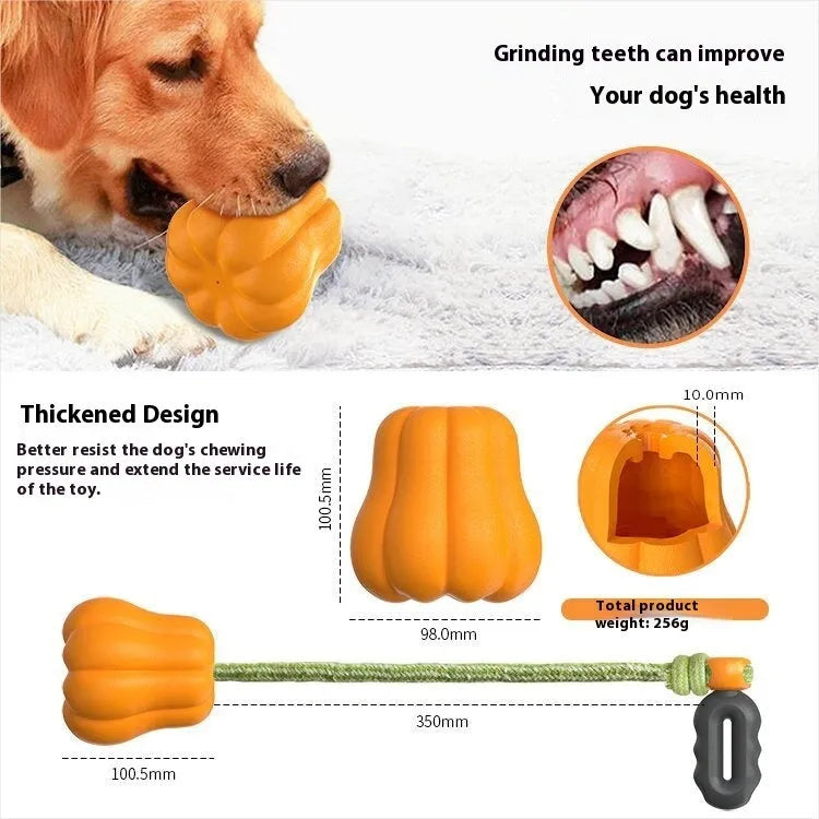 Pumpkin coloured molar-shaped plastic dog toy with a rope handle for outdoor fetch.