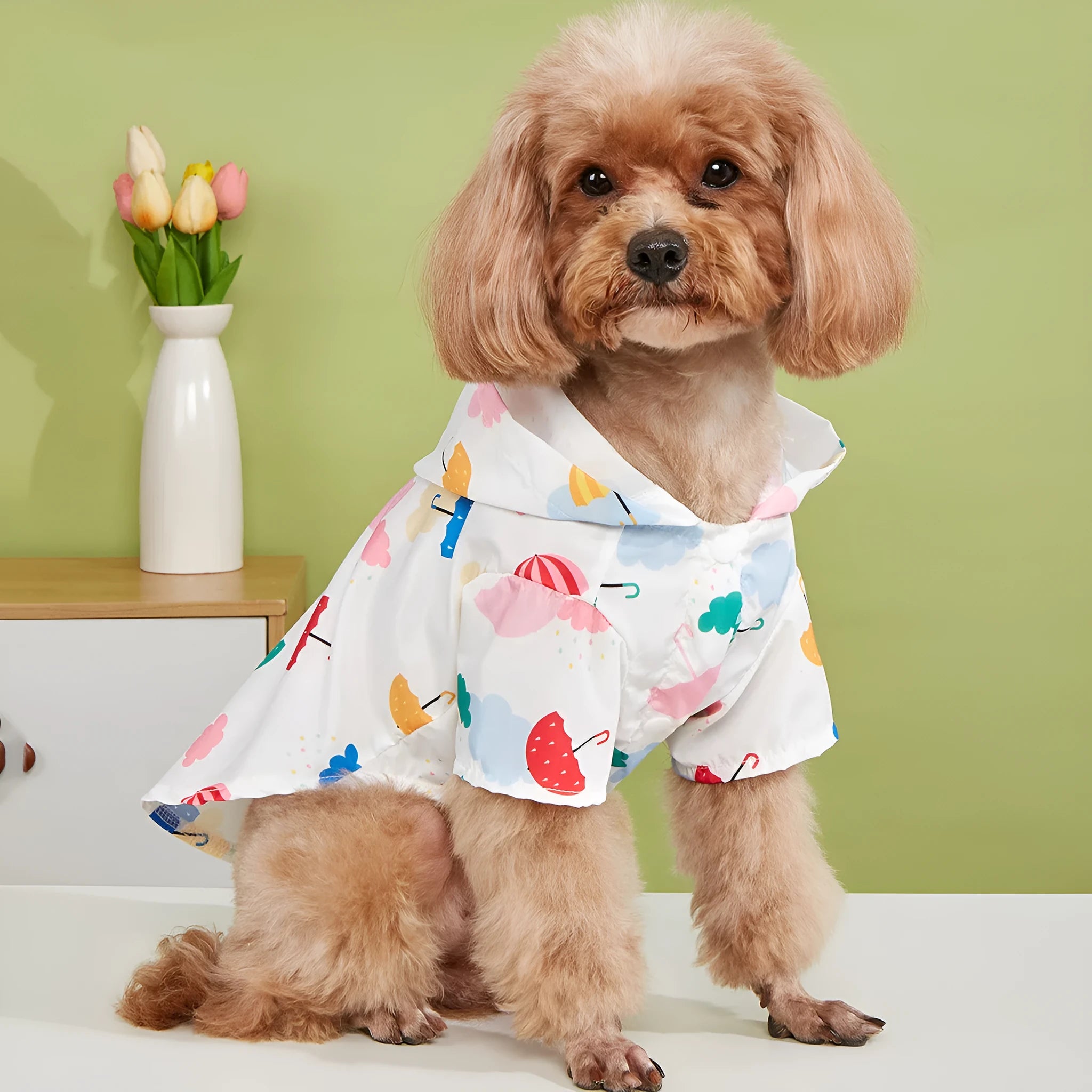 Colourful cartoon umbrella pattern dog raincoat with hood and velcro closures