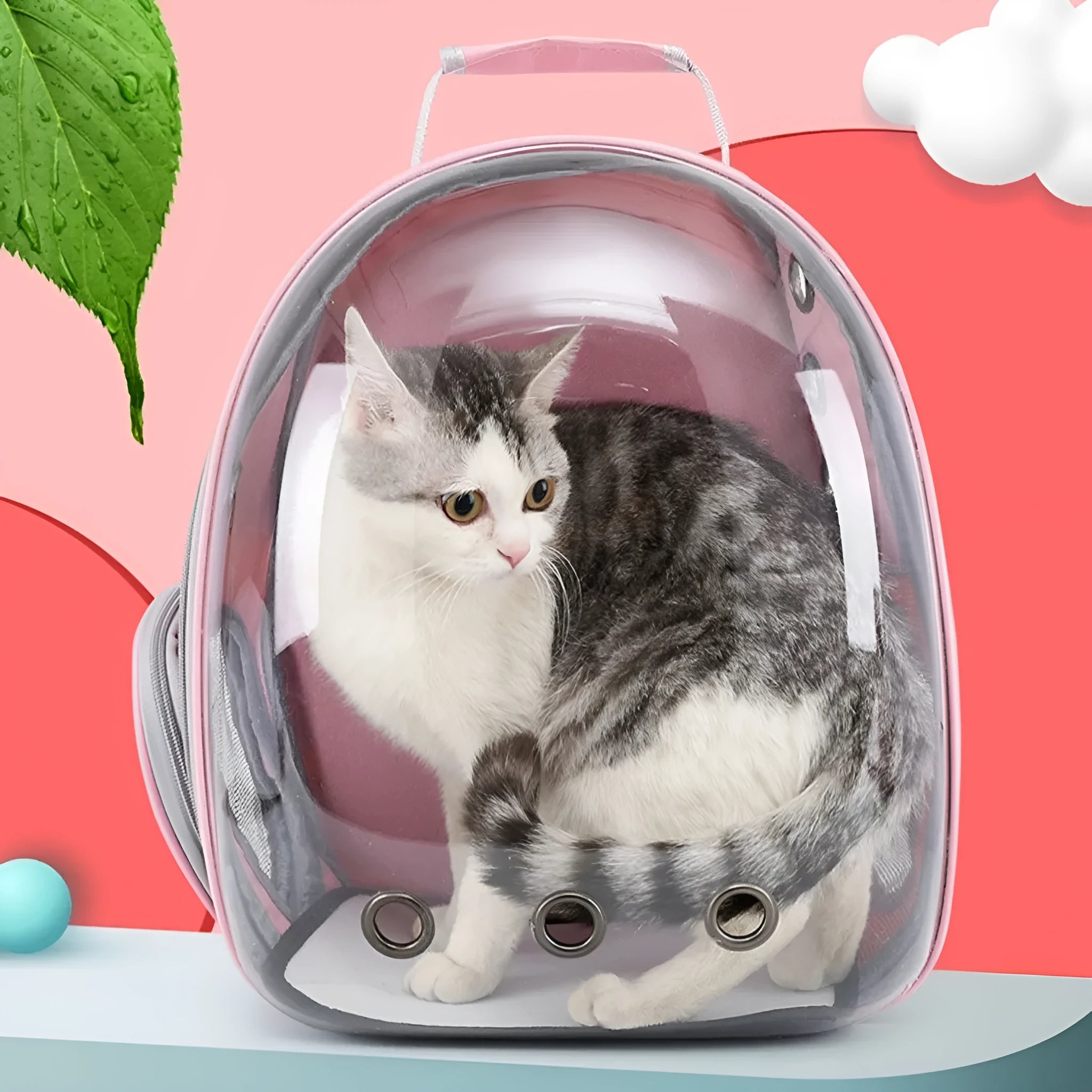 Grey polycarbonate astronaut-style cat carrier bag with side opening and carry handle.