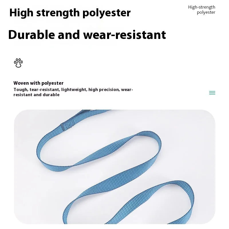 Solid colour polyester dog rope lead with integrated handle in blue, shown with size options.