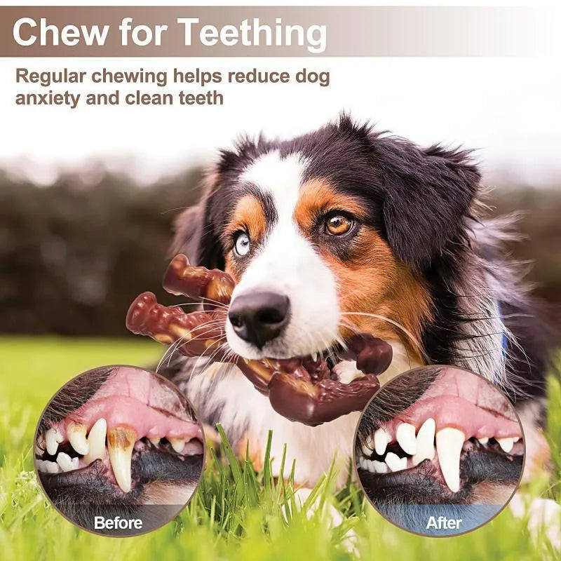 Scarlet red nylon dog chew toy with molar shape and beef flavour