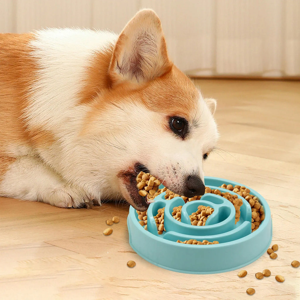 Silicone slow feeder dog bowl with labyrinth puzzle design in blue, green, and pink colours for safe eating
