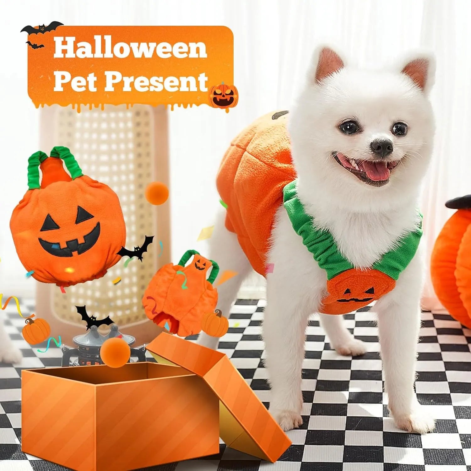 Thick plush pumpkin dog Halloween costume on a small dog with orange pumpkin design